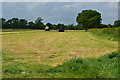 Newly mown meadow