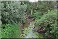 Very overgrown River Cale at Five Bridges