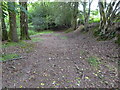 "White road" going north from Birchgrove Lane