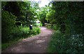 Footpath to Flax Crescent & Harvest Bank, Shilton Park Estate, Carterton, Oxon