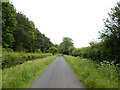 SU8173 : Minor Road near Buckland Farm by James Emmans