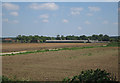 Poultry houses at Feltwell Farm