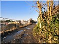 Construction at the rear of Dukinfield Road