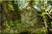 SH3868 : North Wales WWII defences: RAF Bodorgan, Anglesey - LAA Emplacement (2) by Mike Searle