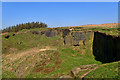 Old quarry, Harthill Cock