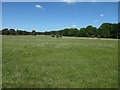 TL7689 : Grassy heath by Hugh Venables