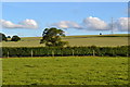 Fields behind The Malt Shovel Inn