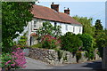 Houses at the top of Ship Lane, Combwich