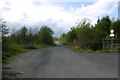 Road, Rushypark Plantation