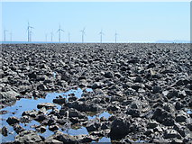 NZ5627 : Exposed rocks east of the South Gare Breakwater at low tide (1a) by Mike Quinn