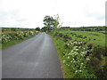 Camlough Road, Mullaghslin Glebe