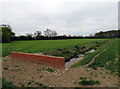 Tweed River from Stapleton Lane