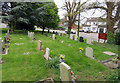 Backs of gravestones in St Martin Stapleton churchyard