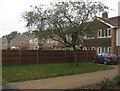 Houses in Church Road West