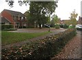 Houses in Collingwood