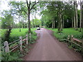 Atherstone on Stour Road Through Woodland