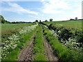 Muddy lane, Lisnawery