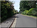 The Grove - looking towards Tadcaster Road