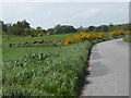 Bend in road near Lower Farmton