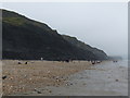 SY3792 : Fossil hunters on Charmouth beach, looking east by Rob Purvis