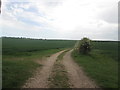 Wolds Way at West Heslerton Brow