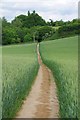 Footpath to Church Street