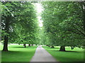 Avenue through The Park towards Place Newton