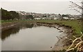 River Camel above Wadebridge