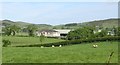 The Greenfield Works of Walter Watson Steel Fabricators on Ballylough Road