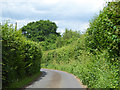 Blind Lane, Goudhurst