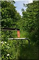 Overgrown path next to the M1 motorway