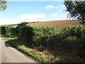 Arable land on a drumlin separating McKays and Clonvaraghan roads