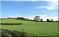 Drumlin land on the flanks of Slievehanny