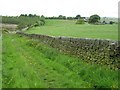 Grassy bridleway west of Nook Allotment