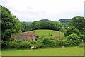 Pepper Hill near Over Stowey