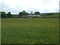 Grazing, Burtersett 