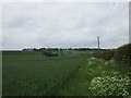 Bridleway to Towthorpe