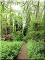 Footpath to Barracks Lane