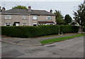 Extensive hedge, Parc Avenue, Cwmbran