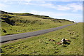 SD8366 : Moorland road into Langcliffe by Winskill Stones by Roger Templeman