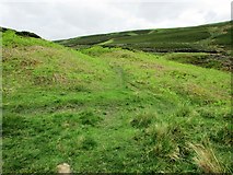 NO1905 : Old path past Edge Head, Lomond Hills by Bill Kasman