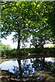 Pond Near Long Field Shaw