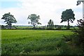 Field with a Bus Stop