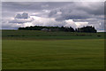 View to Barrelwell from Kintrockat, Brechin