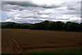 Fields at Nether Careston