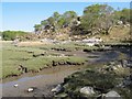 Saltmarsh, Allt Beithe