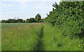 Public footpath on field boundary, Canewdon