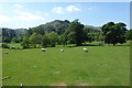 NY3606 : Farmland between Rydal and Ambleside by DS Pugh