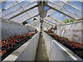 Sunken glasshouse at The Walled Nursery