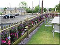 Old Hexham Road in Horsley from The Hearth Cafe garden